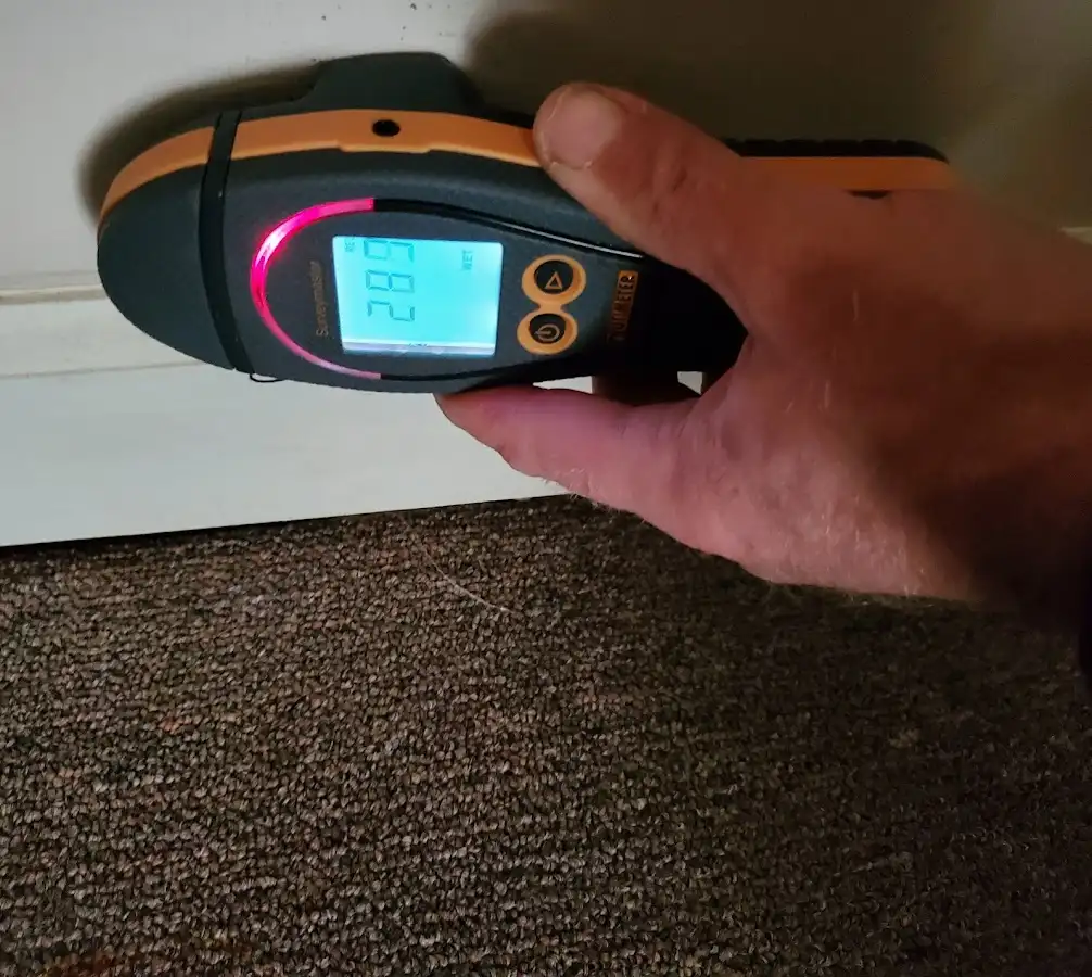 Moisture detection at baseboard during Burst Pipe Cleanup in Hamlin